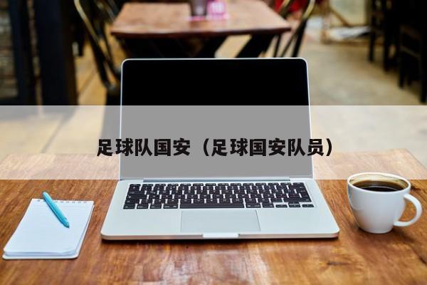 足球队国安（足球国安队员）