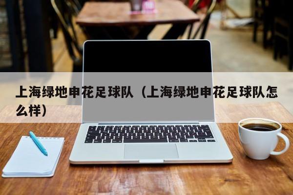 上海绿地申花足球队（上海绿地申花足球队怎么样）