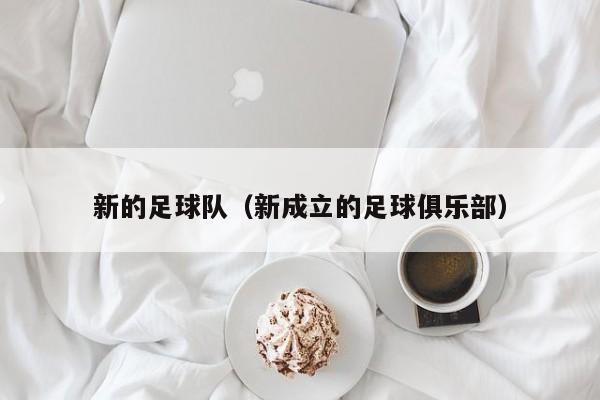 新的足球队（新成立的足球俱乐部）
