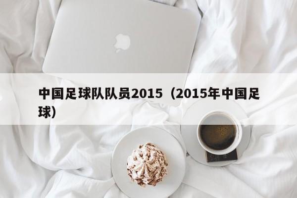 中国足球队队员2015（2015年中国足球）