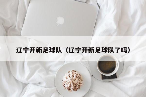 辽宁开新足球队（辽宁开新足球队了吗）
