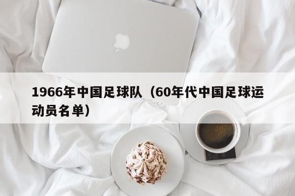 1966年中国足球队（60年代中国足球运动员名单）