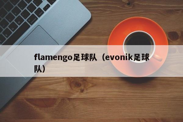 flamengo足球队（evonik足球队）