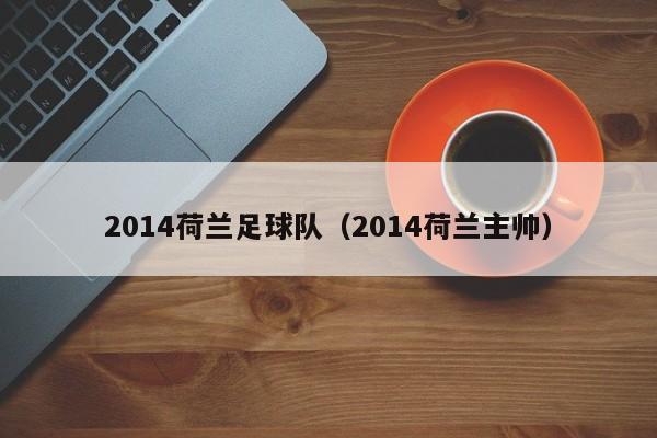 2014荷兰足球队（2014荷兰主帅）