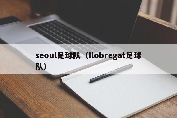 seoul足球队（llobregat足球队）