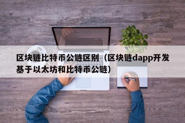 区块链比特币公链区别（区块链dapp开发基于以太坊和比特币公链）