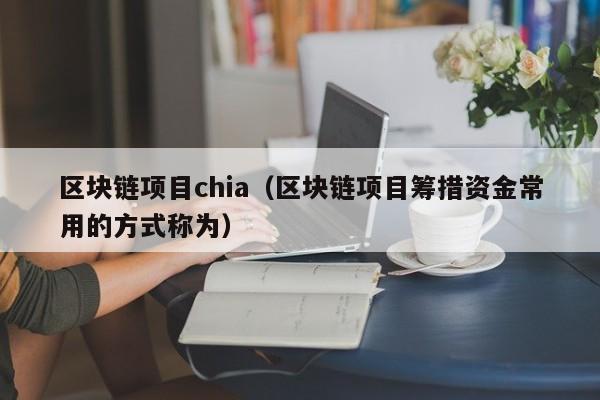 区块链项目chia（区块链项目筹措资金常用的方式称为）