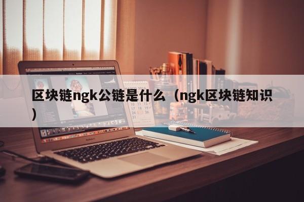 区块链ngk公链是什么（ngk区块链知识）