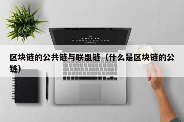区块链的公共链与联盟链（什么是区块链的公链）