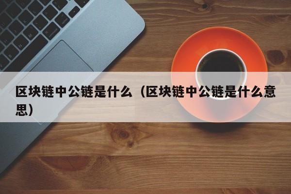 区块链中公链是什么（区块链中公链是什么意思）