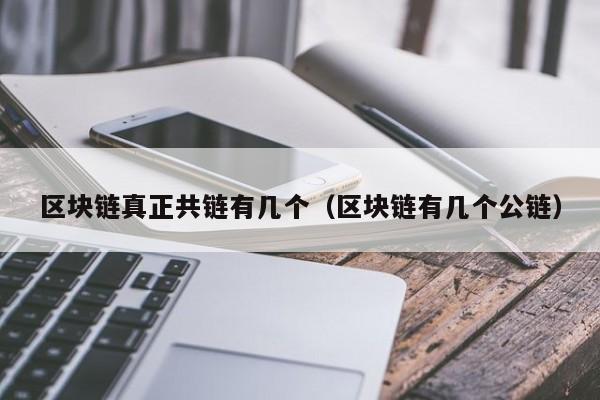 区块链真正共链有几个（区块链有几个公链）