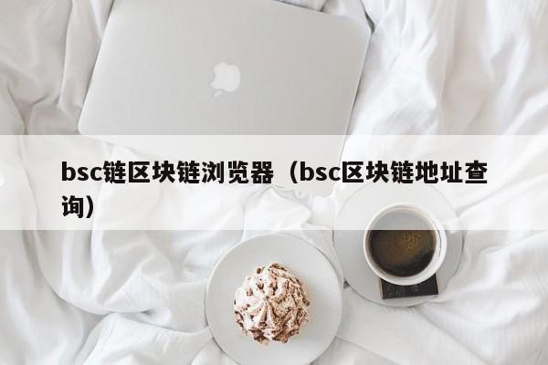 bsc链区块链浏览器（bsc区块链地址查询）