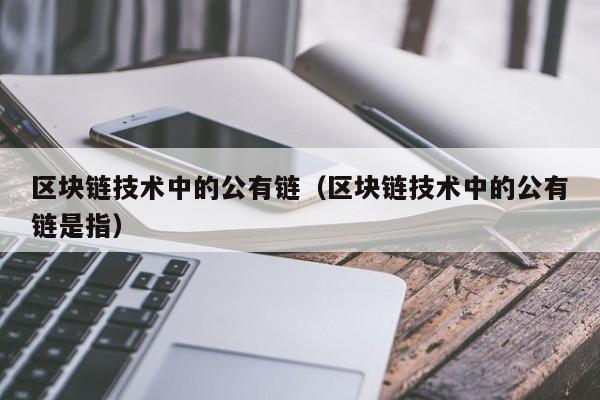 区块链技术中的公有链（区块链技术中的公有链是指）