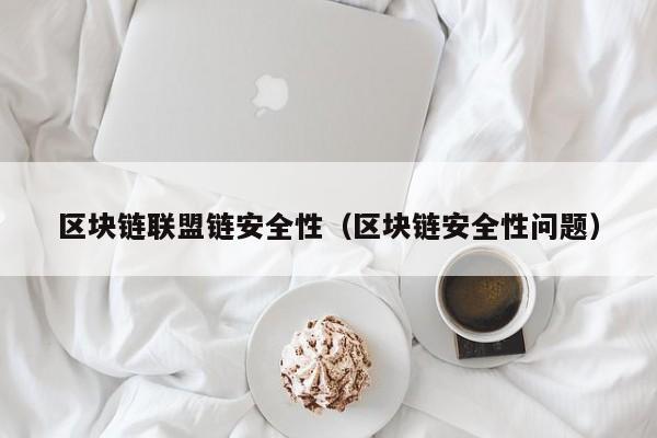 区块链联盟链安全性（区块链安全性问题）