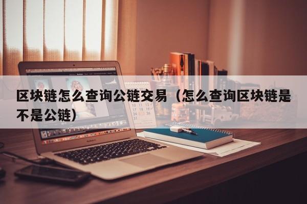 区块链怎么查询公链交易（怎么查询区块链是不是公链）