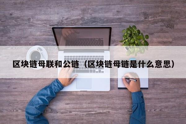 区块链母联和公链（区块链母链是什么意思）