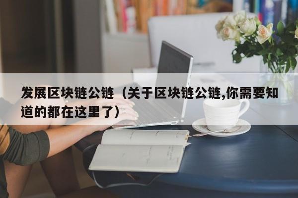 发展区块链公链（关于区块链公链,你需要知道的都在这里了）