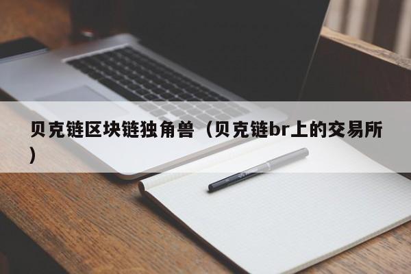 贝克链区块链独角兽（贝克链br上的交易所）