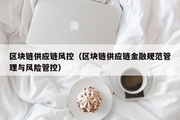 区块链供应链风控（区块链供应链金融规范管理与风险管控）