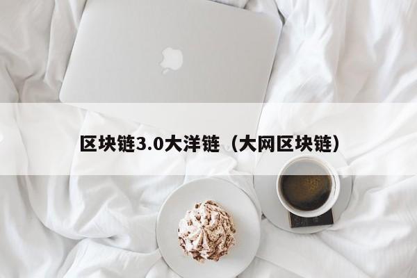 区块链3.0大洋链（大网区块链）
