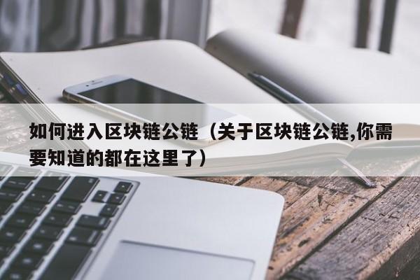 如何进入区块链公链（关于区块链公链,你需要知道的都在这里了）