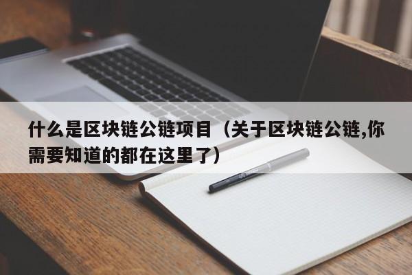什么是区块链公链项目（关于区块链公链,你需要知道的都在这里了）