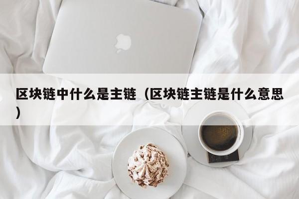 区块链中什么是主链（区块链主链是什么意思）