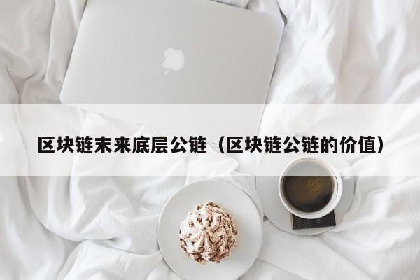区块链末来底层公链（区块链公链的价值）