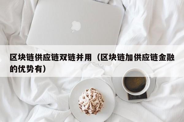 区块链供应链双链并用（区块链加供应链金融的优势有）